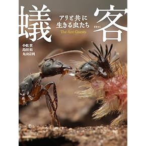 分子昆虫学 ―ポストゲノムの昆虫研究― 分子昆虫学 ポストゲノムの昆虫研究 新品本・書籍 | ブックオフ